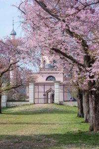 Momente. Frühling, Schwetzingen, Natur Fotos zum kaufen von Iryna Mathes