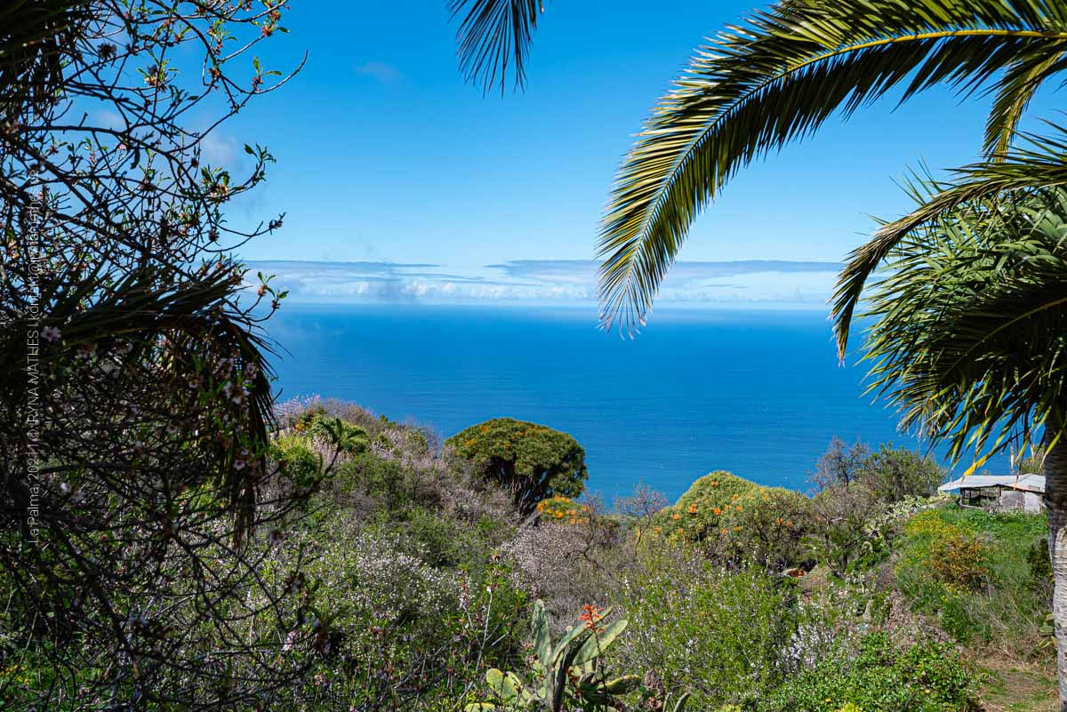 Landschaft La Palma