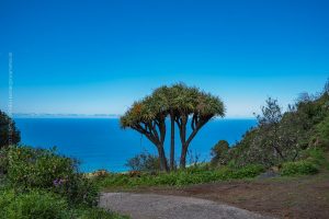 La Palma, Kanarische Insel. Küsten Landschaft