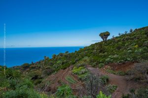 La Palma, Kanarische Insel. Vulkan Landschaft